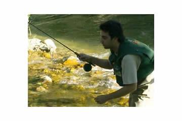 Imagen Caza pesca