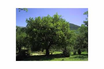 Imagen Corto recorrido
